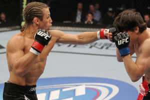 兩名MMA拳手在八角籠內的UFC比賽中行動。 — 終極格鬥冠軍賽 壁紙