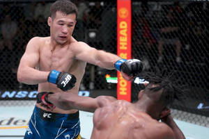兩名戴著MMA手套的男拳手在八角籠內互相出拳。 — 運動 壁紙