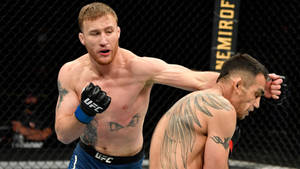 兩名MMA拳手在UFC八角籠內搏鬥，紋身清晰可見。 — 桌面 壁紙