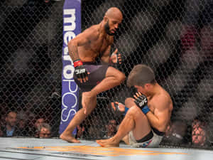 兩名MMA拳手在UFC比賽中於八角籠內戰鬥。 — 運動 壁紙