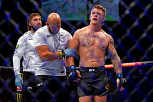 UFC拳手在比賽後接受醫療人員協助。 — 運動 壁紙