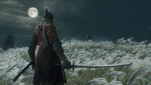武士戰士持劍在月光草野中面對敵人。 — 隻狼 壁紙