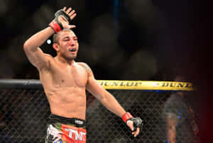 MMA拳手在八角籠中高舉一隻手臂慶祝勝利。 — 終極格鬥冠軍賽 壁紙