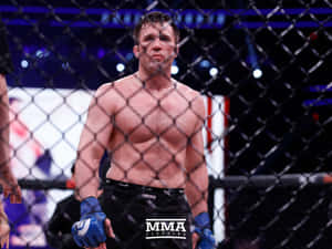 比賽後籠內筋疲力盡的MMA拳手 — 運動 壁紙