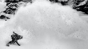 滑雪板運動員在森林中的深粉雪中 carving — 雪景 GIF 壁紙