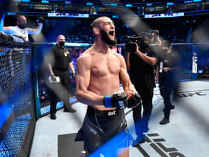 UFC拳手在八角籠內與人群歡呼慶祝勝利。 — 終極格鬥冠軍賽 壁紙
