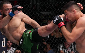 兩名男性MMA拳手在八角籠內進行對戰。 — 終極格鬥冠軍賽 壁紙