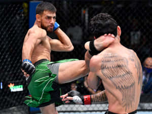 籠內兩名MMA拳手一人踢另一人有天使翅膀刺青 — 4:3 壁紙