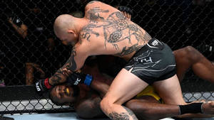 兩名MMA拳手在UFC八角籠內纏鬥。 — 酷 壁紙