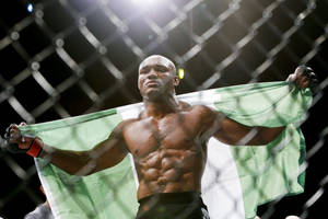 一名勝利的MMA戰士在籠內高舉綠白綠旗。 — 奈及利亞 壁紙