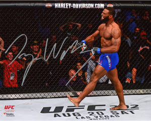 UFC戰士在八角籠內慶祝勝利，粉絲們在圍欄後面歡呼。 — 5:4 壁紙