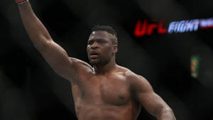 UFC拳手在八角籠內舉臂慶祝勝利。 — 終極格鬥冠軍賽 壁紙