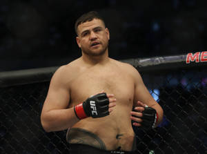UFC拳手戴著手套在八角籠內站立比賽。 — 運動 壁紙
