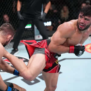 兩名MMA拳手在UFC八角籠內激烈交換踢擊。 — 終極格鬥冠軍賽 壁紙