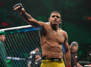 MMA拳手在UFC八角籠內舉起拳頭慶祝勝利。 — 極限運動 壁紙