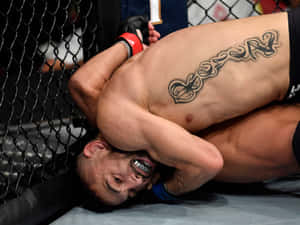 MMA拳手在八角籠內對對手施展鎖喉。 — 4:3 壁紙