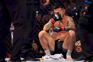 比賽後八角籠內坐著落敗的MMA拳手 — 終極格鬥冠軍賽 壁紙