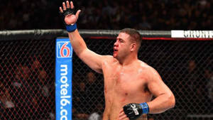 MMA拳手在UFC八角籠內舉起手，滿臉鮮血慶祝勝利。 — 運動 壁紙