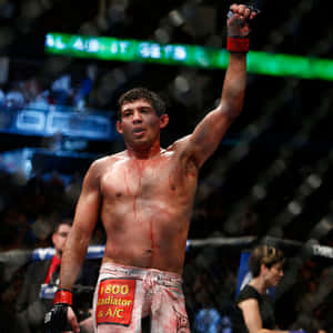 MMA拳手血染上身，在八角籠內舉拳勝利。 — 運動 壁紙