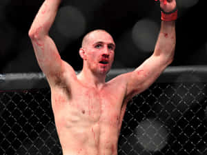 一名渾身是血的勝利MMA戰士在八角籠內高舉雙臂。 — 終極格鬥冠軍賽 壁紙