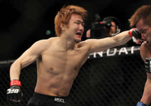 MMA拳手在比賽中於八角籠內揮拳。 — 運動 壁紙