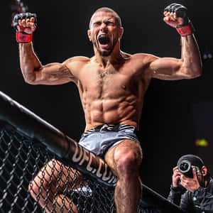 MMA拳手跳上八角籠，高舉拳頭慶祝勝利。 — 終極格鬥冠軍賽 壁紙