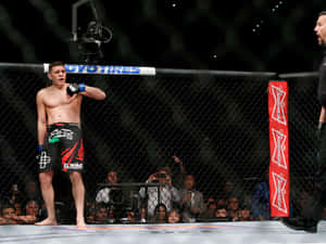 比賽中籠內的MMA拳手，有裁判和觀眾。 — 終極格鬥冠軍賽 壁紙