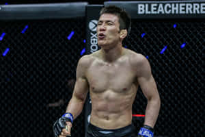 男性MMA拳手在八角籠內慶祝勝利。 — 運動 壁紙