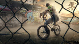 BMX騎士在夕陽下靠著自行車在鐵絲網圍欄後面，背景有塗鴉牆和棕櫚樹。 — 腳踏車 GIF 壁紙