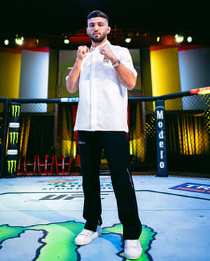 一名男性MMA拳手在UFC八角籠中舉拳擺姿勢。 — 終極格鬥冠軍賽 壁紙