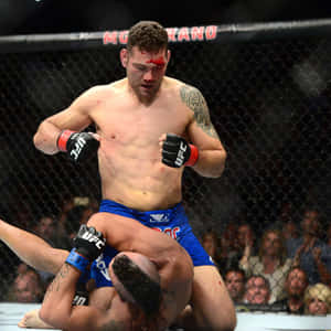 MMA拳手在八角籠中向對手施以膝撞 — 運動 壁紙