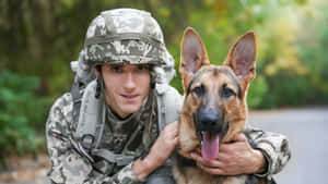 身穿迷彩的士兵在森林中抱著一隻德國牧羊犬。 — 軍事動圖 壁紙