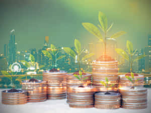 日落時分，發光的城市天際線前，一堆堆硬幣上長著植物。 — 金融 壁紙