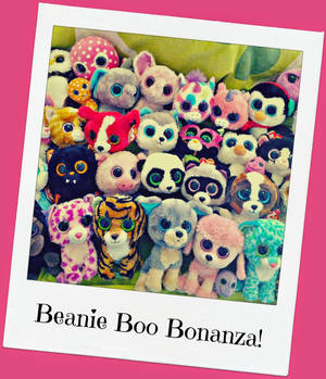 一系列色彩繽紛、大眼睛的Beanie Boo毛絨玩具。 — Beanie Boos 壁紙