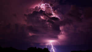 紫色閃電劃破夜間森林剪影上方的烏雲。 — 閃電 壁紙