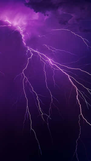 紫色閃電在暴風雨的夜空中分叉。 — 燈泡 壁紙