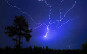 暴風雨天空下，明亮的閃電映襯出樹木的剪影。 — 閃電 壁紙