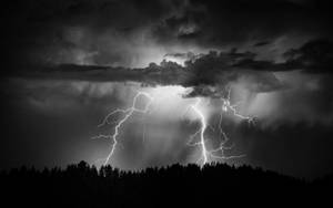 閃電劃過暴風雲層，照亮黑暗的森林剪影。 — 閃電 壁紙