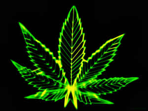 黑色背景上的霓虹綠色發光大麻葉 — 迷幻 壁紙
