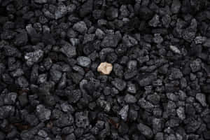 深色火山岩中的一塊淺色石頭。 — 木質紋理 壁紙