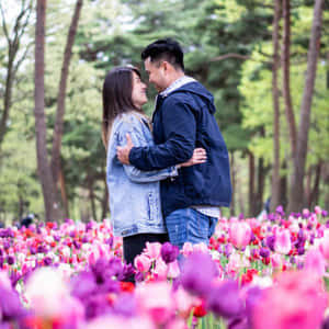 一對情侶在色彩繽紛的鬱金香花田中微笑擁抱，周圍環繞著樹木。 — 情侶 壁紙
