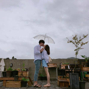 情侶在雨中的屋頂花園裡在雨傘下接吻。 — 情侶 壁紙