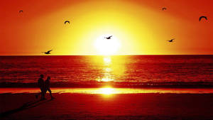 情侶在熾熱的夕陽下漫步海灘，鳥兒在頭頂飛翔 — 海灘日落 壁紙