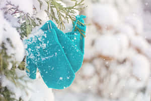 覆蓋著積雪的青綠色手套掛在積雪的常青樹枝上。 — MacBook Air M3 壁紙