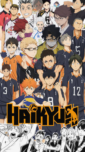 Haikyuu!!動漫角色穿著排球制服充滿活力地擺姿勢。 — 第七班 壁紙