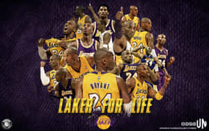 柯比布萊恩拼貼畫以「Laker for Life」文字慶祝湖人傳奇。 — 科比· Bryant 壁紙