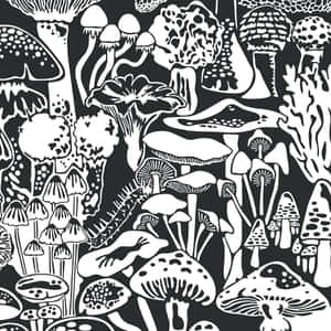 黑白插圖圖案，展示多種蘑菇，紋理細緻。 — 蘑菇美學 壁紙
