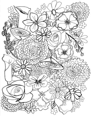 黑白花卉線條藝術插圖，具有複雜的圖案和多樣的花卉類型。 — 4:5 壁紙
