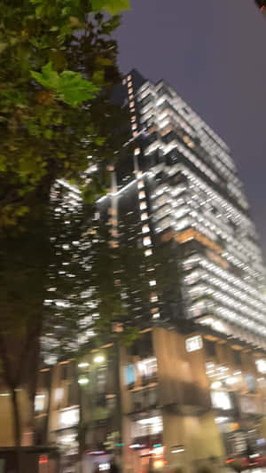 夜晚亮燈的高聳玻璃建築，前景有模糊的樹木。 — 星空動畫 壁紙