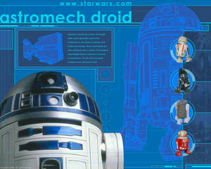 R2-D2和其他星戰宇航技工機器人的藍圖風格插圖。 — 機器人 壁紙